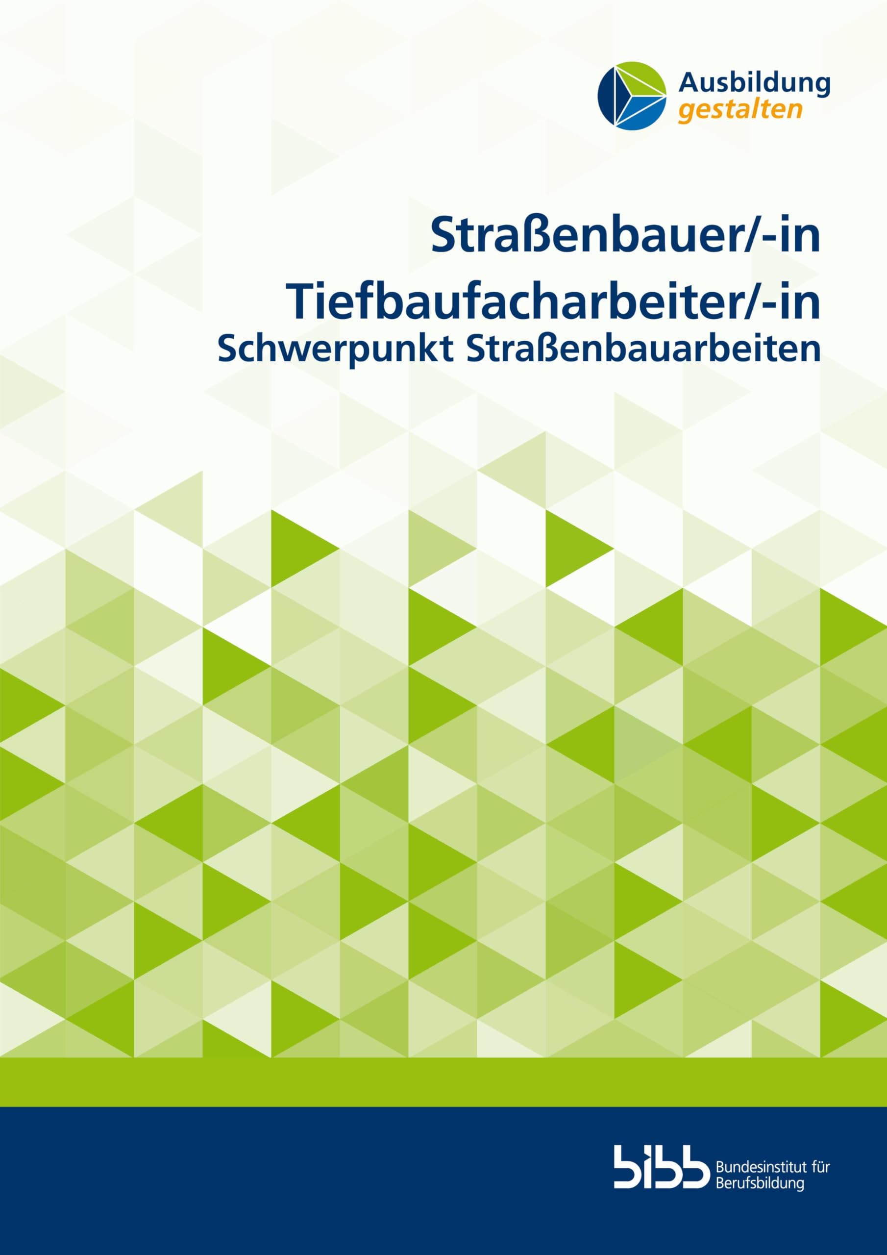 Straßenbauer/StraßenbauerinTiefbaufacharbeiter/Tiefbaufacharbeiterin: Schwerpunkt Straßenbauarbeiten (Ausbildung gestalten)