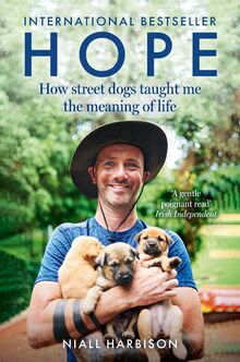 Hope: How Street Dogs Taught Me the Meaning of Life