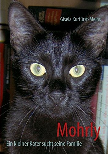 Mohrly: Ein kleiner Kater sucht seine Familie