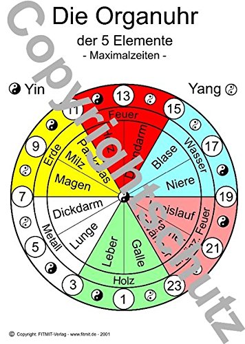 Organuhr Übersichtskarte DIN A5 (Lehrtafeln / Übersichtskarten)