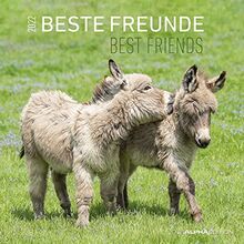 Beste Freunde 2022 - Broschürenkalender 30x30 cm (30x60 geöffnet) - Kalender mit Platz für Notizen - Best Friends - Bildkalender - Wandkalender