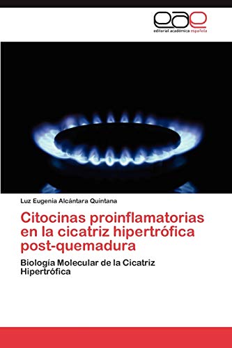 Citocinas proinflamatorias en la cicatriz hipertrófica post-quemadura: Biología Molecular de la Cicatriz Hipertrófica