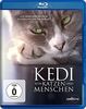 Kedi - Von Katzen und Menschen [Blu-ray]