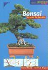 Bonsai: Schritt für Schritt