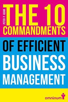 The 10 Commandments of efficient Business Management: The Tools, Strategies and Techniques Business Leaders use to successfully improve Efficiency