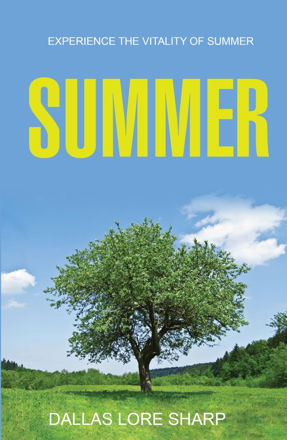 Summer