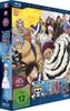 One Piece - TV-Serie - Vol. 29 - [Blu-ray]