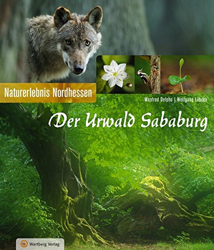 Der Urwald Sababurg - Manfred Delpho Wolfgang Lübcke Gebunden