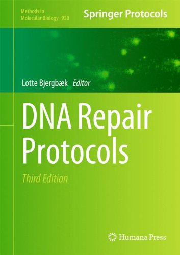 DNA Repair Protocols (Methods in Molecular Biology, Band 920)