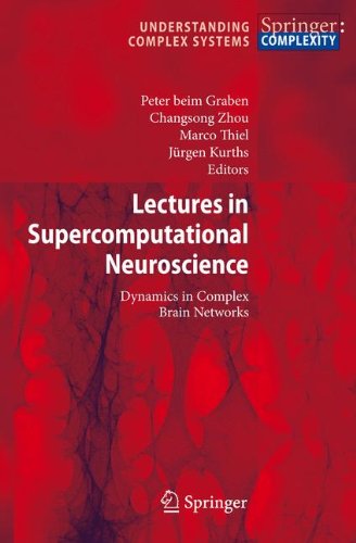Lectures in Supercomputational Neuroscience: Dynamics in Complex Brain Networks (Understanding Complex Systems)