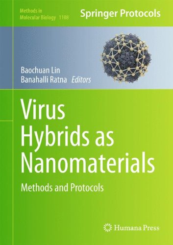 Virus Hybrids as Nanomaterials: Methods and Protocols (Methods in Molecular Biology)