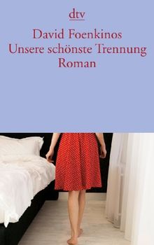 Unsere schönste Trennung: Roman