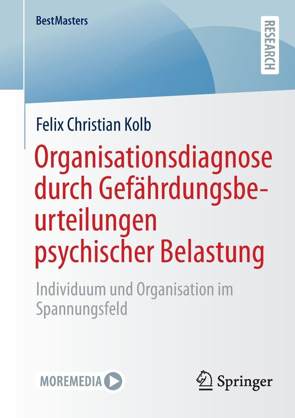 Organisationsdiagnose durch Gefährdungsbeurteilungen psychischer Belastung: Individuum und Organisation im Spannungsfeld (BestMasters)