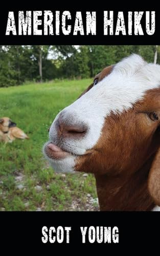 Oelder Buchhandlung – Lange Str, 59302 Oelde