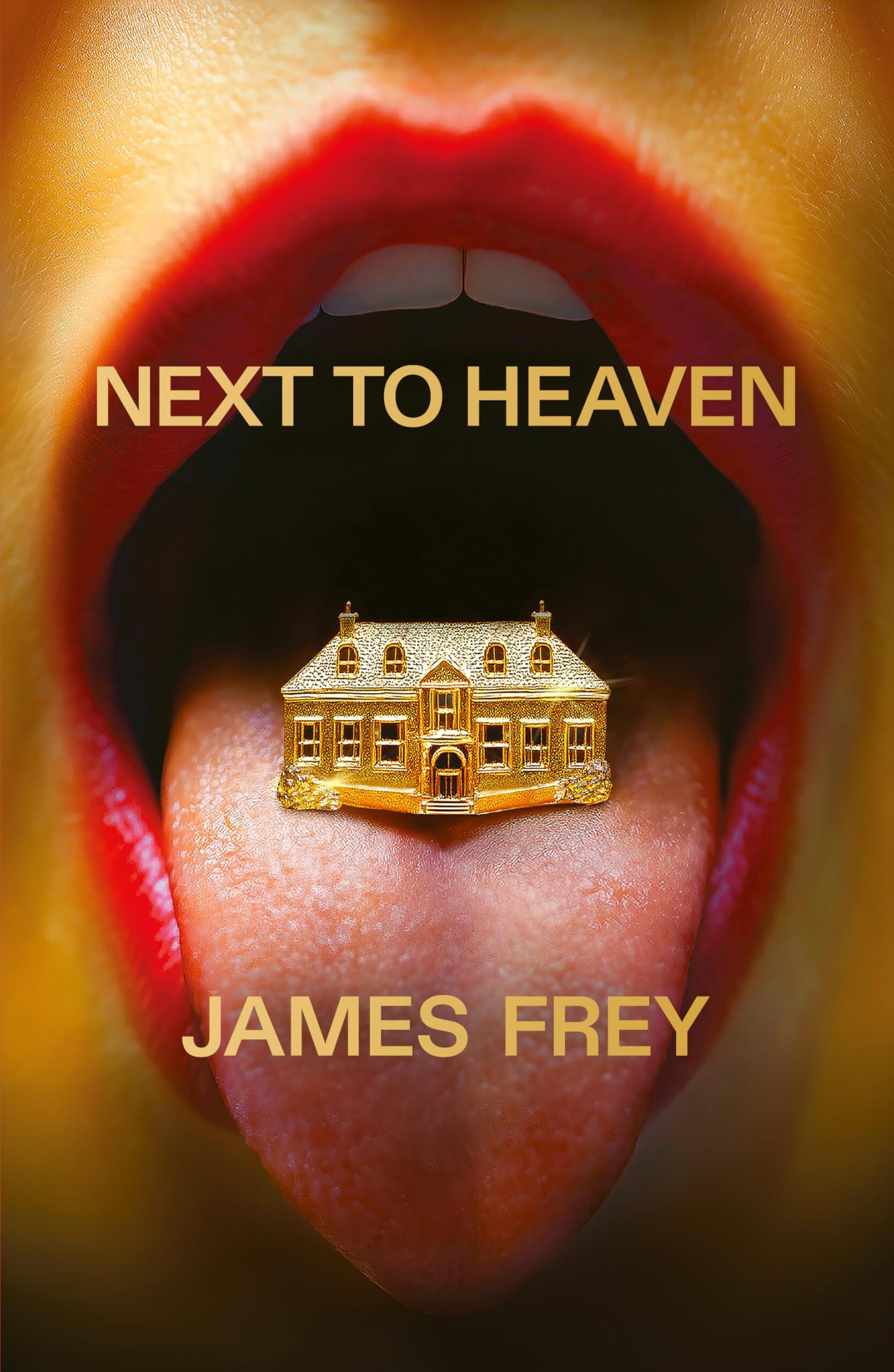 James Frey Next To Heaven, The Provocative New Novel From Bestselling Author Of A Million Little Pieces