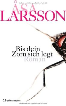 Bis dein Zorn sich legt: Roman