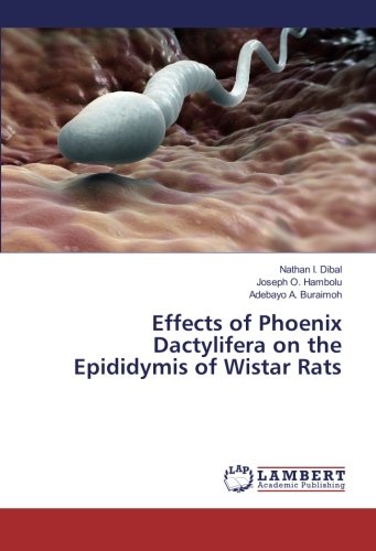 Effects of Phoenix Dactylifera on the Epididymis of Wistar Rats