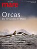 mare - Die Zeitschrift der Meere / No. 143 / Orcas: Die Verkannten der Meere