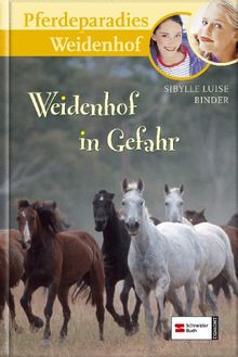 Pferdeparadies Weidenhof, Band 12: Weidenhof in Gefahr