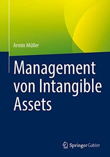 Management von Intangible Assets