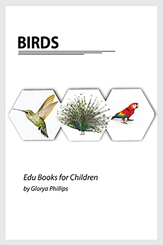 Birds: Montessori real birds book, bits of intelligence for baby and toddler, children's book, learning resources. (Edu Books for Children)