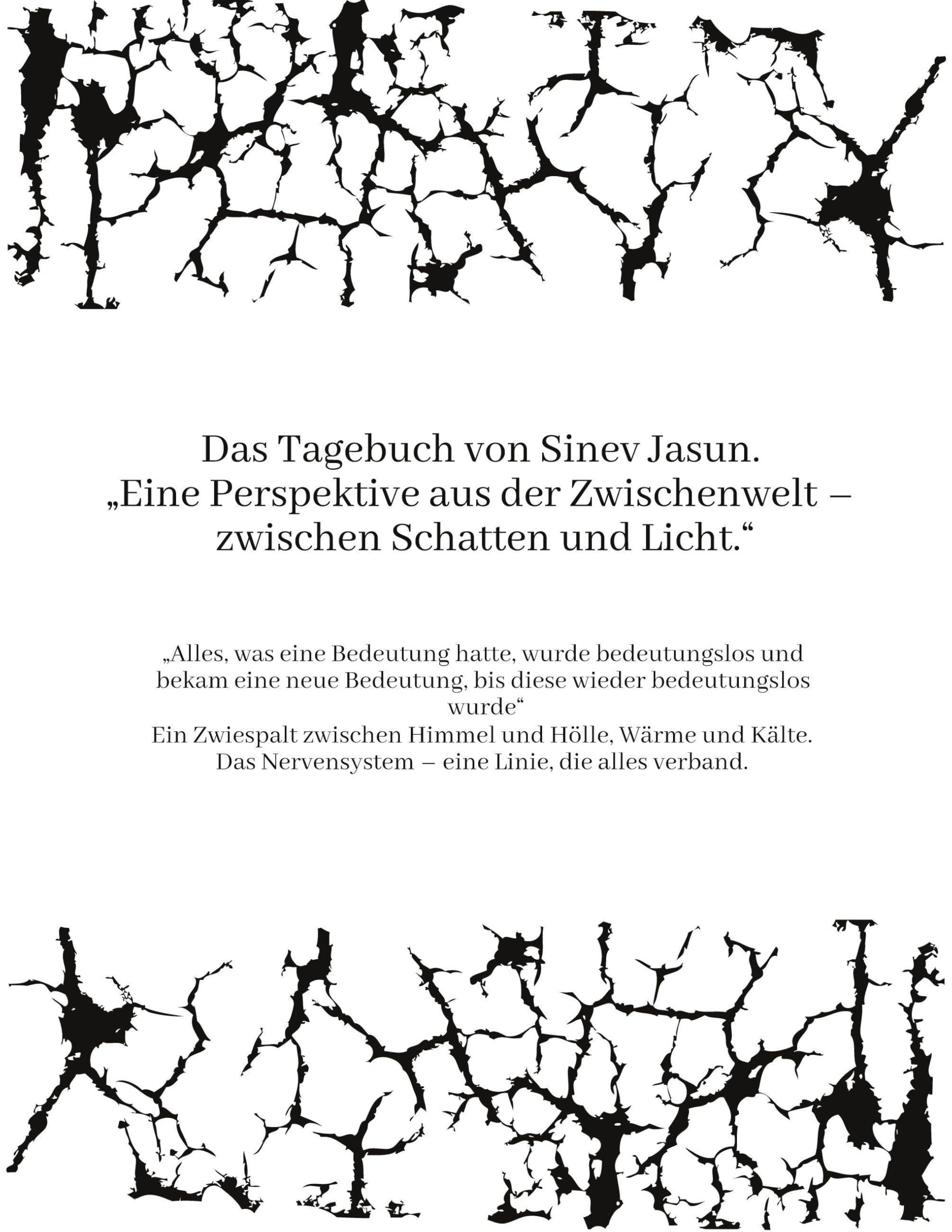 Das Tagebuch von Sinev Jasun. Eine Perspektive aus der Zwischenwelt - zwischen Schatten und Licht.: Alles, was eine Bedeutung hatte, wurde ... bis diese wieder bedeutungslos wurde