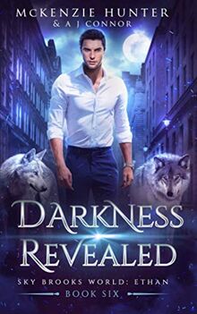 Darkness Revealed (Sky Brooks World: Ethan, Band 6)