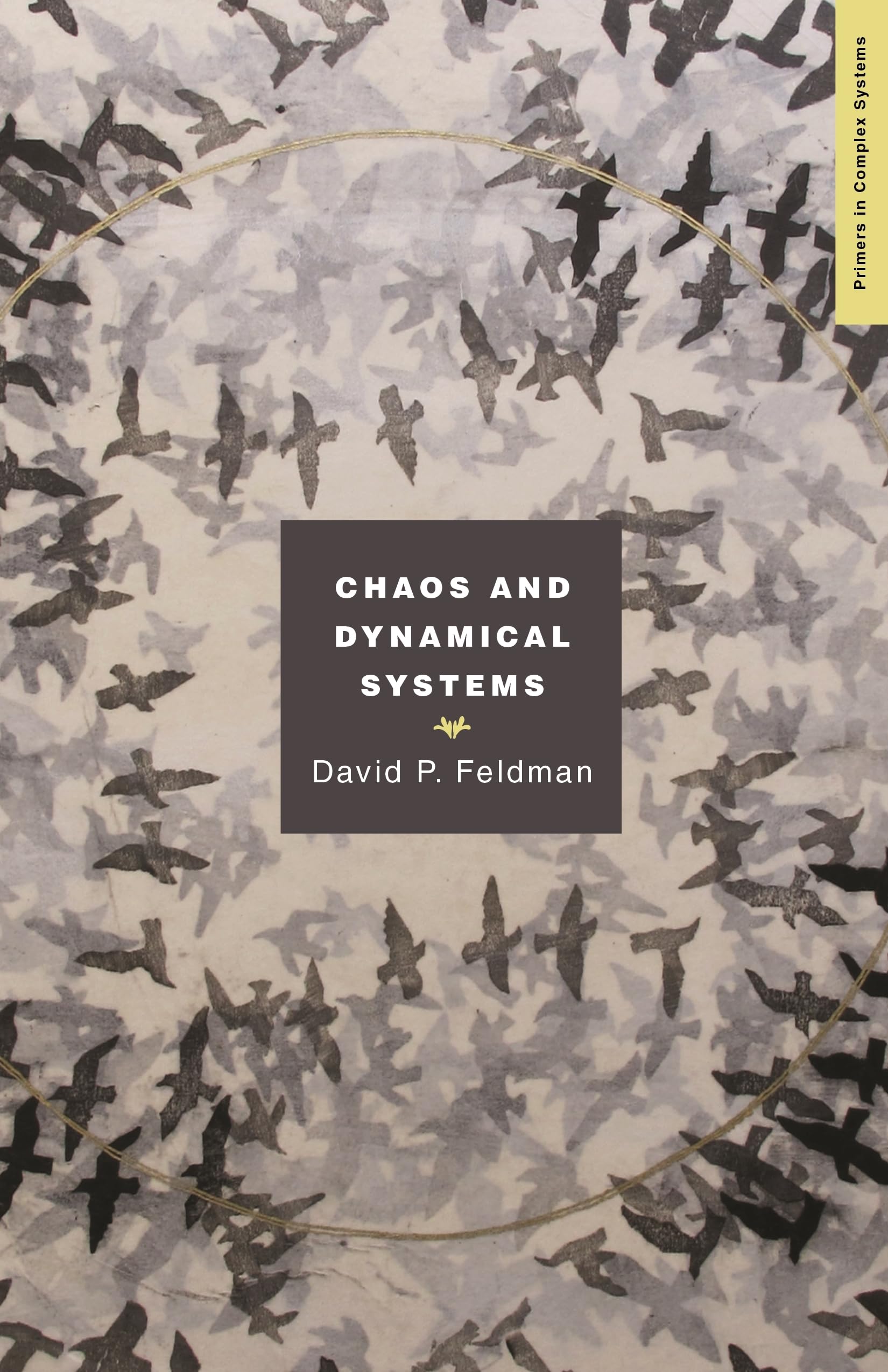 Feldman, David P. Chaos And Dynamical Systems (Primers In Complex Systems, 7, Band 7)