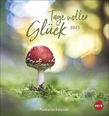 Tage voller Glück Postkartenkalender 2023 - Kalender mit perforierten Postkarten - zum Aufstellen und Aufhängen - mit Monatskalendarium - 16 x 17 cm