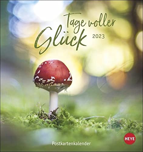Wellensittiche 2024 - Postkartenkalender 16x17 Cm - Budgies - Zum Aufstellen Oder Aufhängen - Monatskalendarium - Gadget - Mitbringsel - Alpha Edition