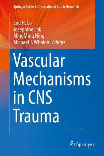 Vascular Mechanisms in CNS Trauma (Springer Series in Translational Stroke Research)
