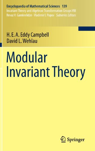 Modular Invariant Theory (Encyclopaedia of Mathematical Sciences)