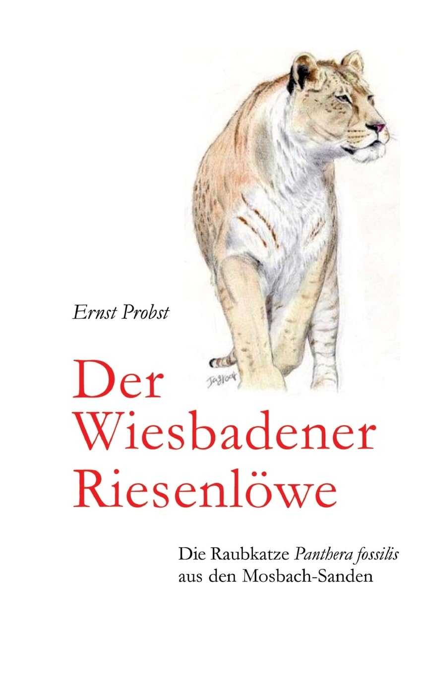 Der Wiesbadener Riesenlöwe: Die Raubkatze Panthera fossilis aus den Mosbach-Sanden