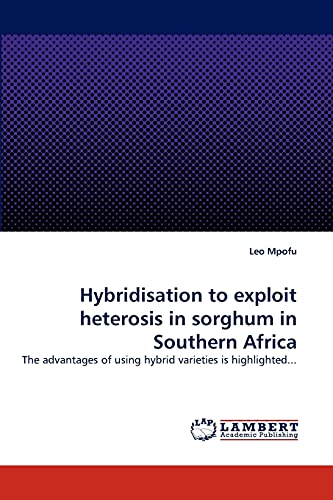 Hybridisation to exploit heterosis in sorghum in Southern Africa: The advantages of using hybrid varieties is highlighted...