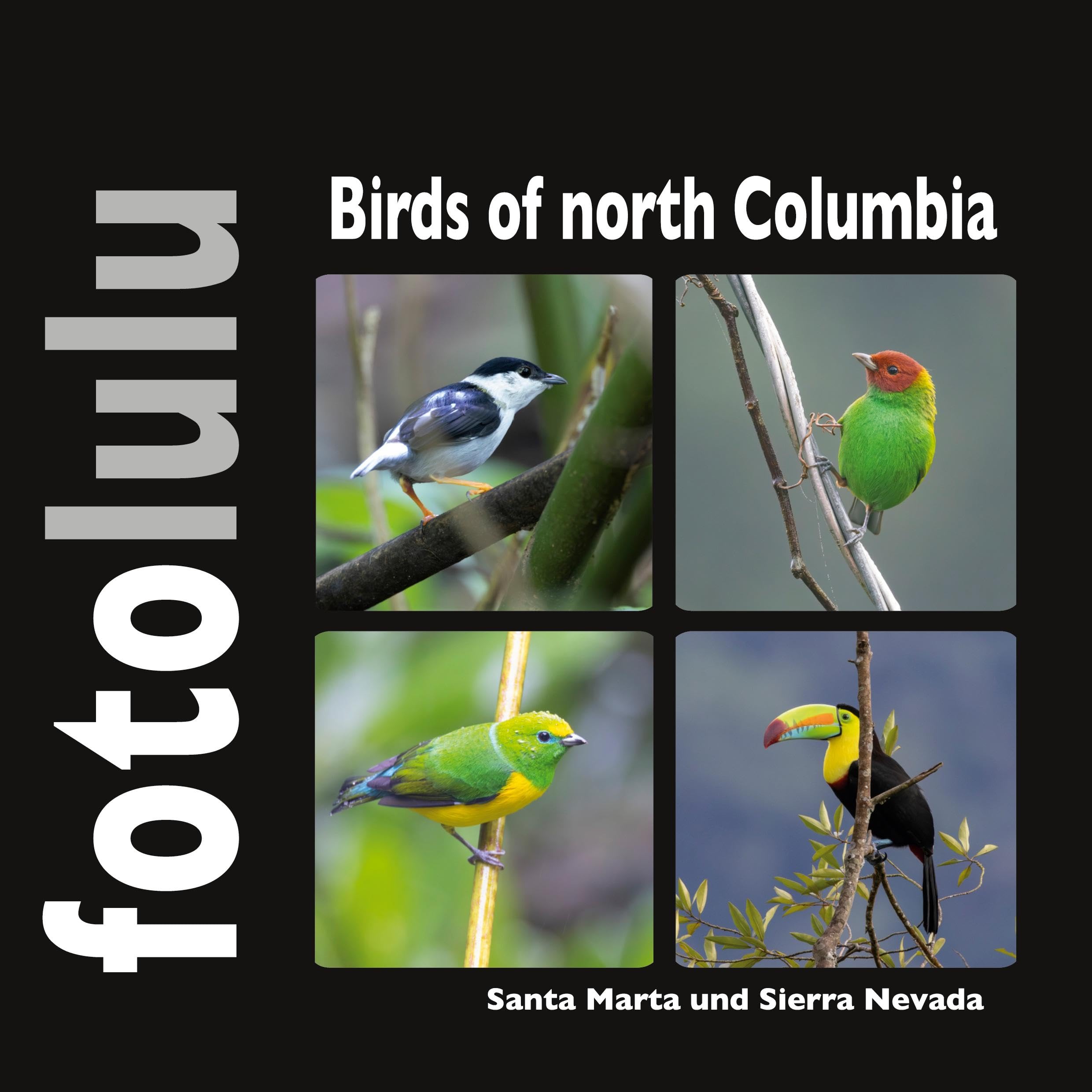 Birds of north Columbia: Santa Marta und Sierra Nevada
