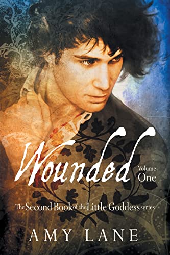 Wounded, Vol. 1 (Little Goddess, Band 1)