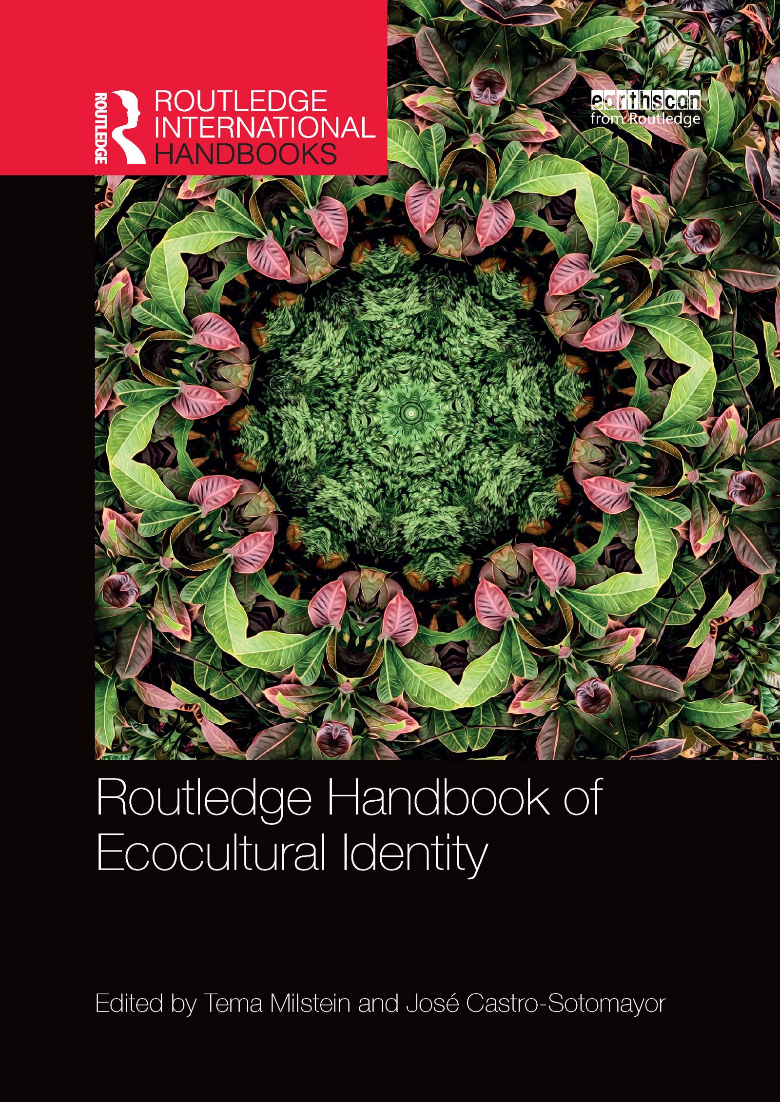 unbekannt Routledge Handbook Of Ecocultural Identity (Routledge Environment And Sustainability Handbooks)