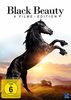 Black Beauty Edition - Black Beauty, Ein Pferd fürs Leben, Mein Pferd Holly, Ferien auf dem Reiterhof - 4 Filme Special Edition [2 DVDs]