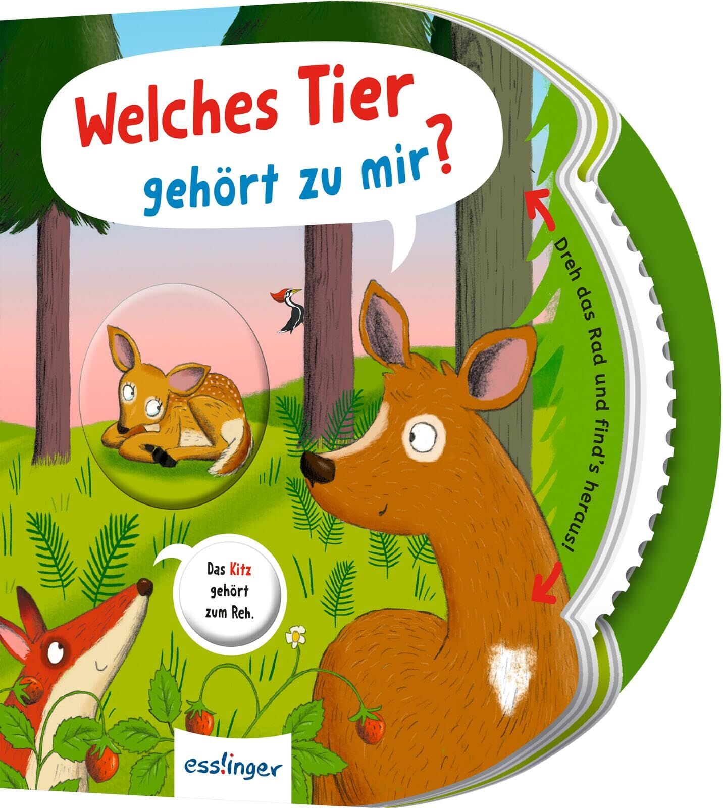 Kiel, Anja: Dreh das Rad und find´s heraus!: Welches Tier gehört zu mir?