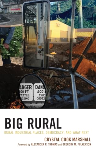 Big Rural: Rural Industrial Places, Democracy, and What Next (Studies in Urban-rural Dynamics)