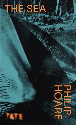 Philip Hoare Look Again , The Sea