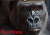 Gorillas / Geburtstagskalender (Wandkalender immerwährend DIN A2 quer): Soziale Kraftpakete mit Charme und Charakter (Monatskalender, 14 Seiten) ... [Kalender] [Jan 21, 2014] Stanzer, Elisabeth