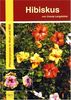 Hibiskus: Pflanzenpraxis in Wort und Bild. 273 Sortenbeschreibungen