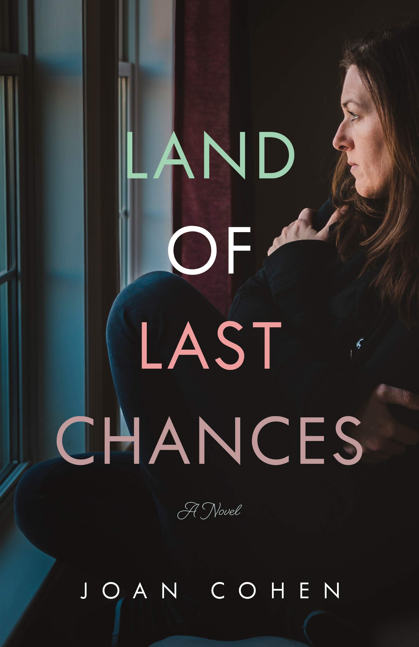 Land of Last Chances: A Novel