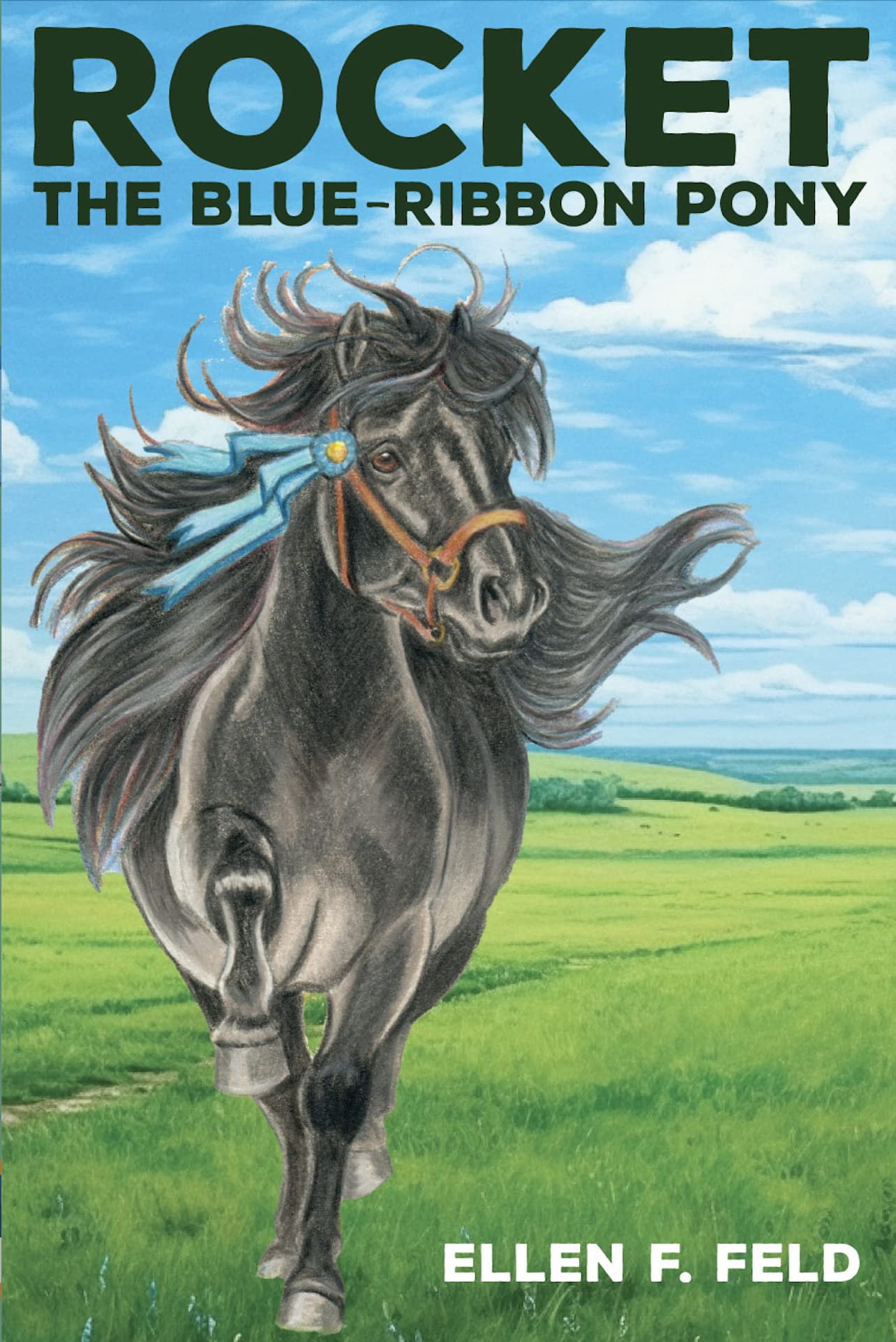 Rocket: The Blue-Ribbon Pony (The Miniature Morgan Horse, Band 2)