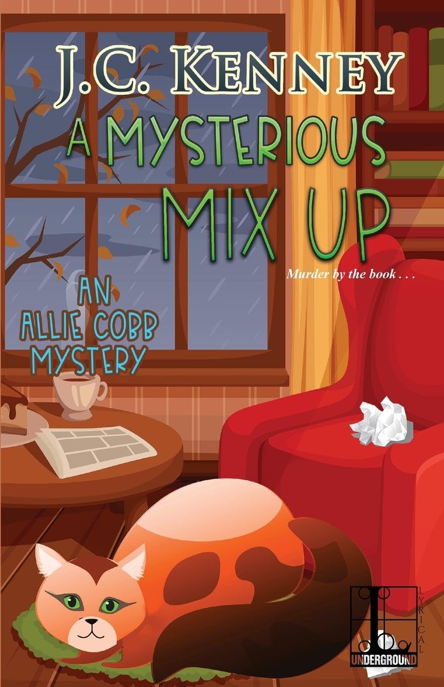 A Mysterious Mix Up (An Allie Cobb Mystery, Band 3)