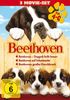 Beethoven - Teil 4-6 [3 DVDs]