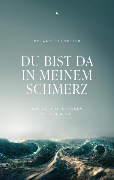 Du bist da in meinem Schmerz - Roland Hardmeier Kartoniert (TB)
