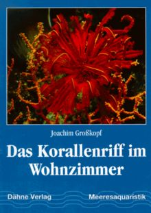 Das Korallenriff im Wohnzimmer