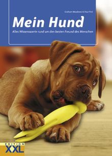 Mein Hund: Alles Wissenswerte rund um den Freund des Menschen